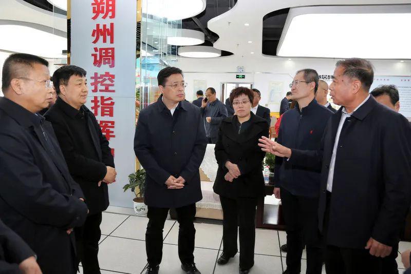 频繁更换网址与多备用入口，网络世界的生存智慧