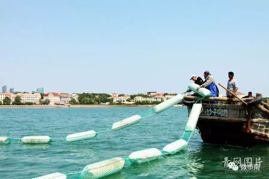 青岛一海水浴场装围栏？这事儿得聊聊